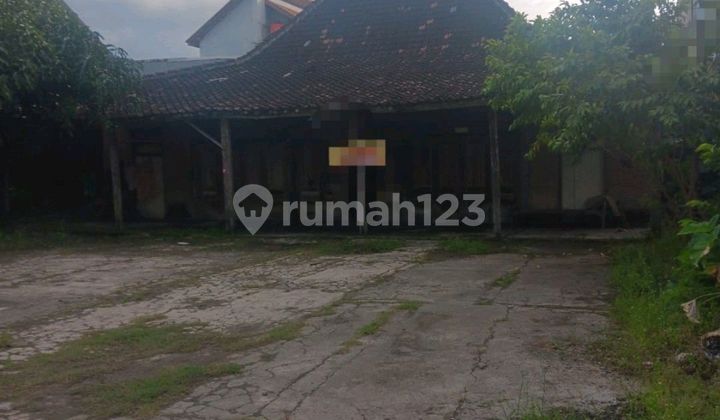 Land for Rent Land Suitable for Boarding House Business Land for Rent Land Suitable for Boarding House Business
