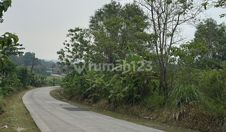 Tanah Luas Murah daerah Loji dan Strategis Pinggir Jalan Raya Karawang - Bogor Tanah Luas Murah daerah Loji dan Strategis Pinggir Jalan Raya Karawang - Bogor
