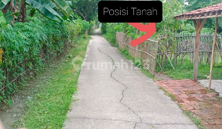 Tanah Desa Cipayung Cikarang Timur Harga Bersahabat