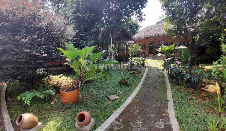 Disewakan Ex Resto Luas dengan Saung di Cibubur  2