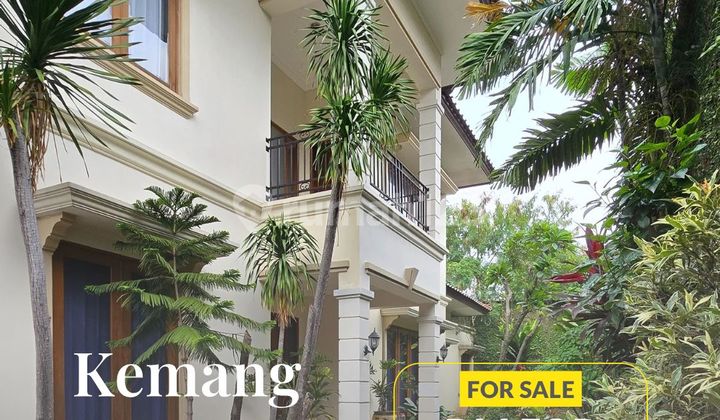 DIJUAL RUMAH MEWAH DI KEMANG, JAKARTA SELATAN