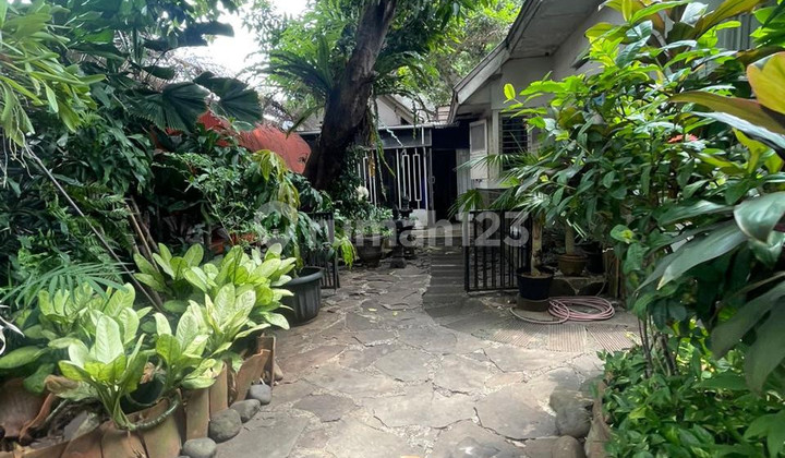 Rumah Hunian Dekat Pusat Kota, Di Daerah Menteng, Jakarta Pusat Rumah Hunian Dekat Pusat Kota, Di Daerah Menteng, Jakarta Pusat