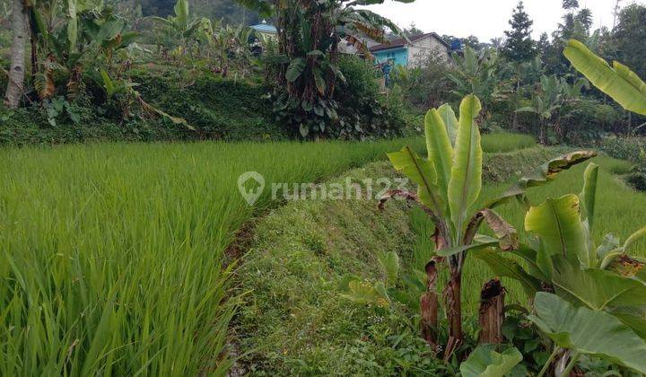 Di Jual Tanah Darat Sawag Cidahu Sukabumi 2