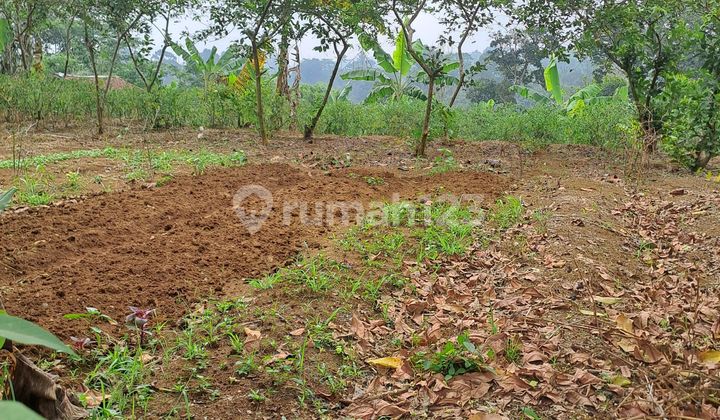 Di Jual Tanah Caringin Bogor Di Jual Tanah Caringin Bogor