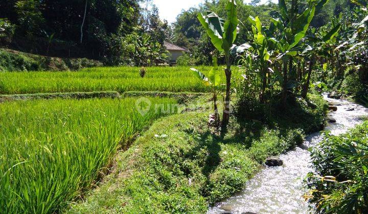 Di Jual Tanah Sawah Dan Darat Parakan Salak Sukabumi 2