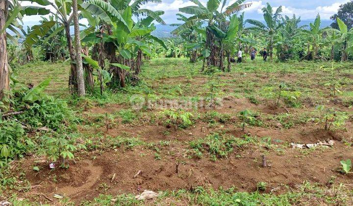 Di Jual Tanah Parakan Salak Sukabumi 2