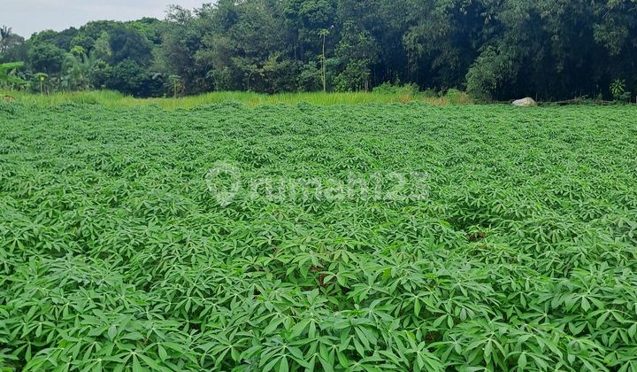 Di Jual Tanah Di Mekarsari Rumpin Bogor