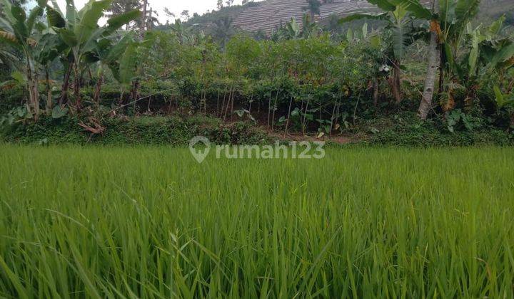 Di Jual Tanah Darat Sawag Cidahu Sukabumi 1