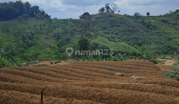 Di Jual Tanah Desa Pabuaran Sukamakmur.jonggol 1