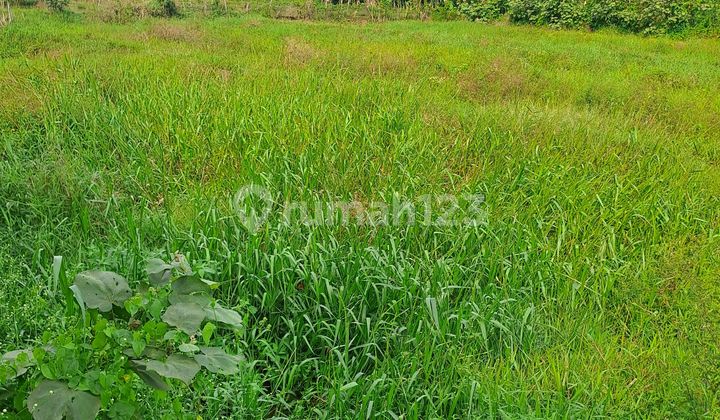 Di Jual Tanah D Kemang Bogor Di Jual Tanah D Kemang Bogor