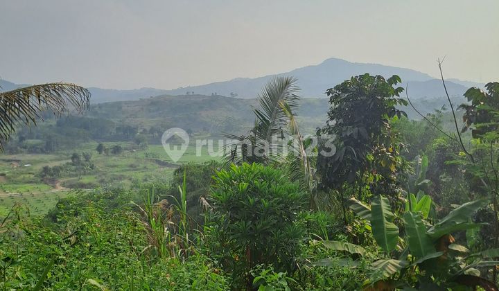 D Jual Tanah Desa Pabuaran Perbatasan Citereup Sukamakmur