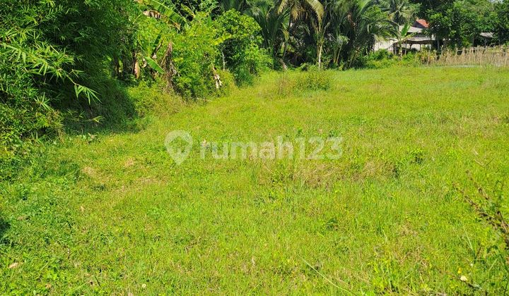 For sale, Cidokom Rumpin village land.