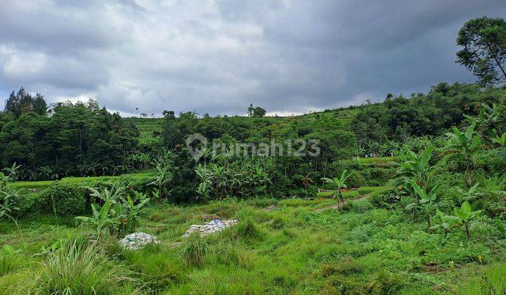 D jual tanah darat dan sawah cigombong 2