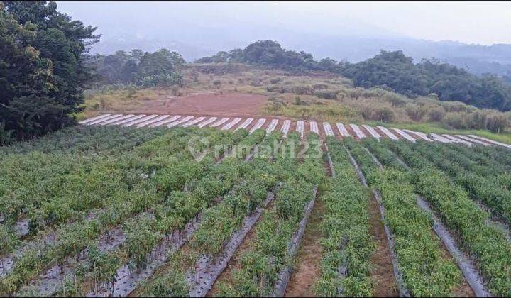 Di jual tanah desa ci saat ci curug sukabumi 1