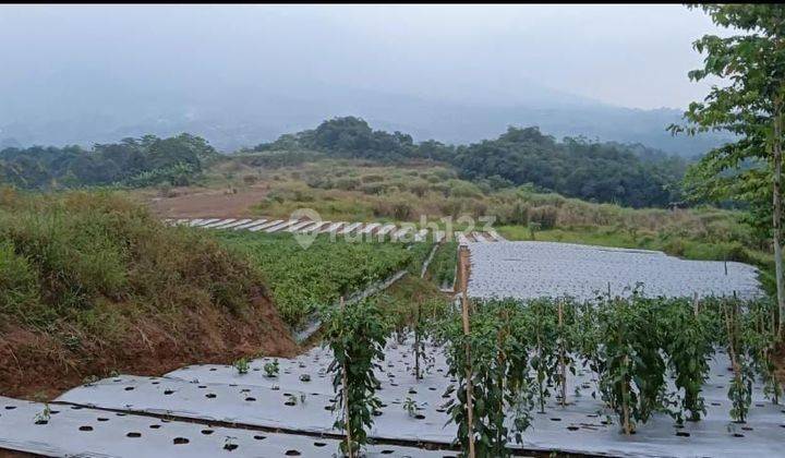 Di jual tanah desa ci saat ci curug sukabumi 2