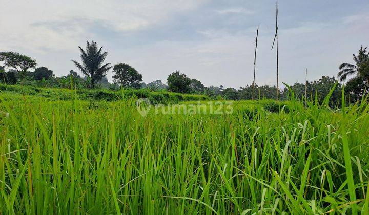 Di jual tanah jalan raya ci hideng kec cijeruk 1