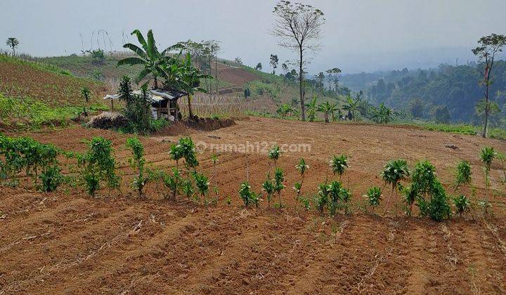 Di jual tanah siap bangun d pancawati 1