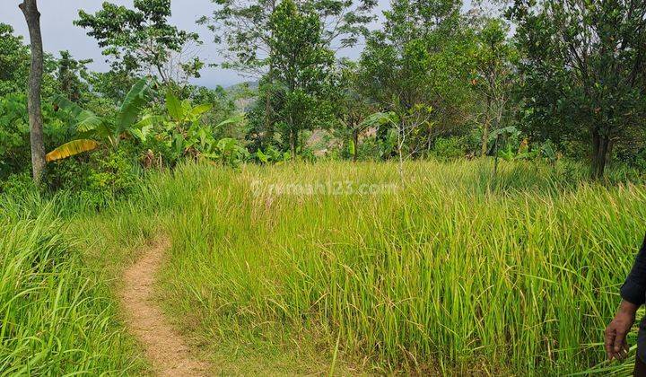 Di jual tanah desa karya mekar  1