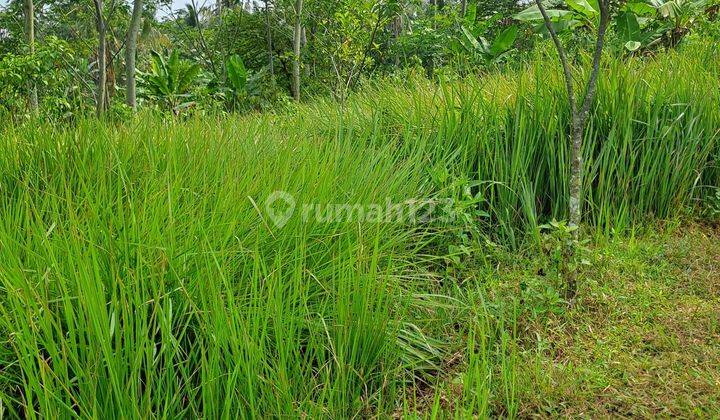 Di jual tanah desa karya mekar  2