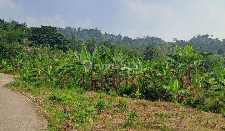 Di jual tanah desa cibadak sukamakmur 2