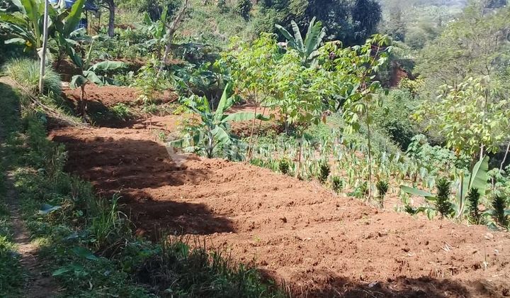 D jual tanah desa cijulang bendungan cipayung 2