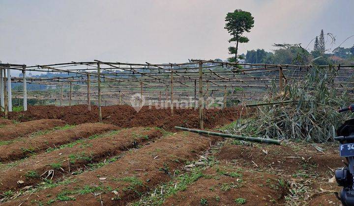 D jual tanah desa gunung gelis sukaraja 1