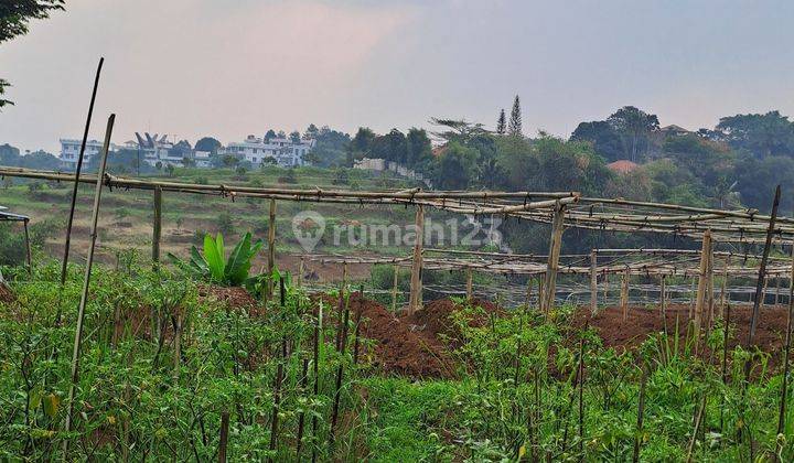 D jual tanah desa gunung gelis sukaraja 2