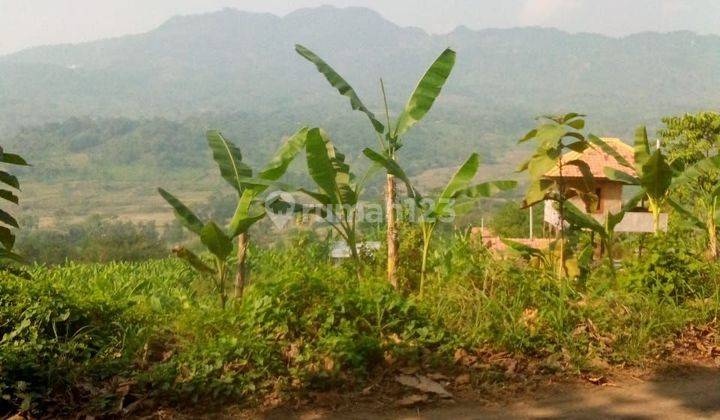 Di jual tanah desa cibadak tanjung sari bogor timur 1