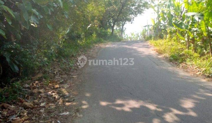 Di jual tanah desa cibadak tanjung sari bogor timur 2