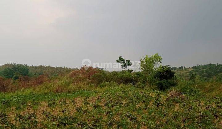 D jual tanah sawah dan darat desa pabuaran 2