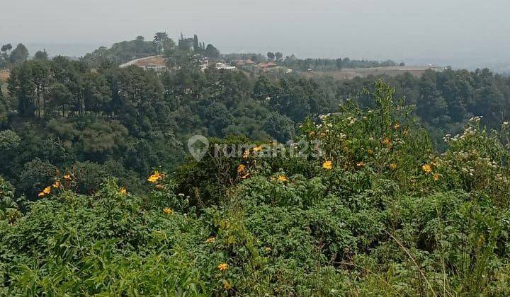 Di jual tanah pancawati caringin 2