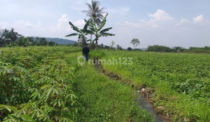 Di jual tanah desa cicadas ciampea bogor 2