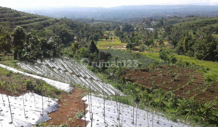 Di jual tanah parakan salak 1