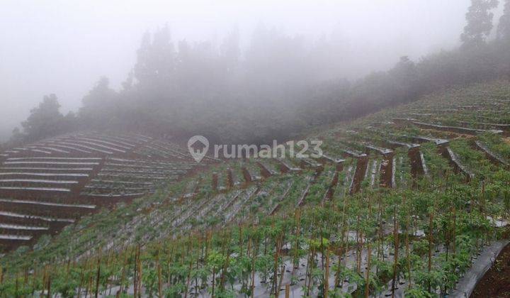 Di jual tanah parakan salak 2