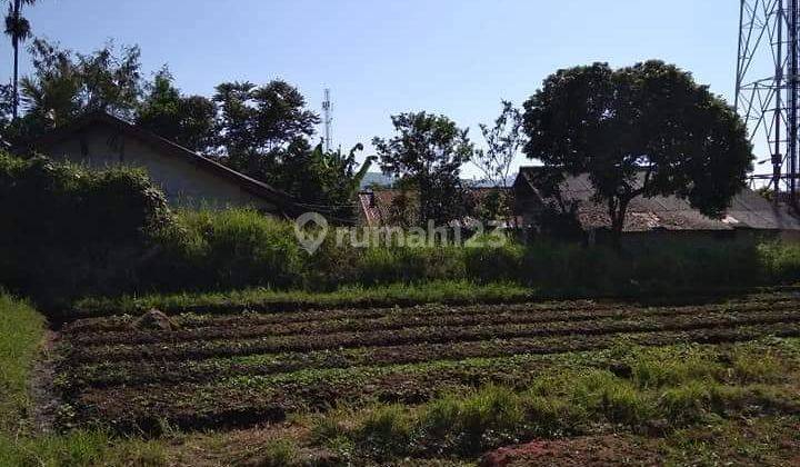 Di jual tanah kota bunga cipanas 2