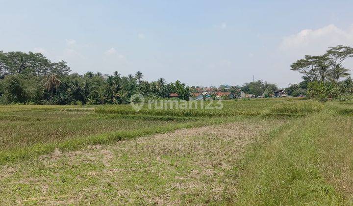 Di jual tanah desa cibeber leuwiliang  2