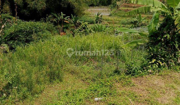 Di jual tanah jalan terobosan cipayung puncak 2