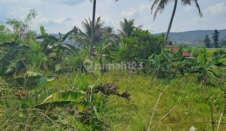 Di jual tanah desa kalong liud nanggung 2