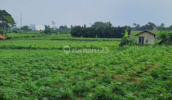 Di jual tanah Ranca bungur Bogor jawabarat 1