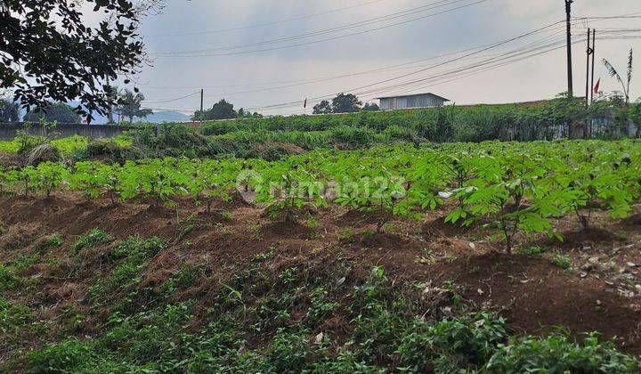 Di jual tanah Ranca bungur Bogor jawabarat 2