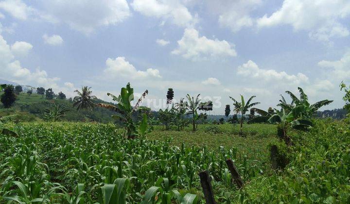 Di jual tanah dekat pintu tol bocini desa  ciambar sukabumi  2