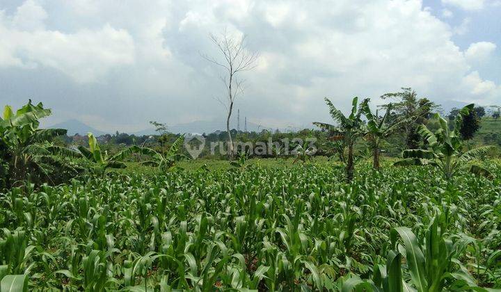 Di jual tanah dekat pintu tol bocini desa  ciambar sukabumi  1