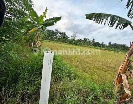 Di jual tanah d pantai carita pandeglang banten 2