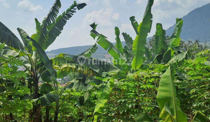 Di jual tanah bojong gaok desa bojongkoneng 1