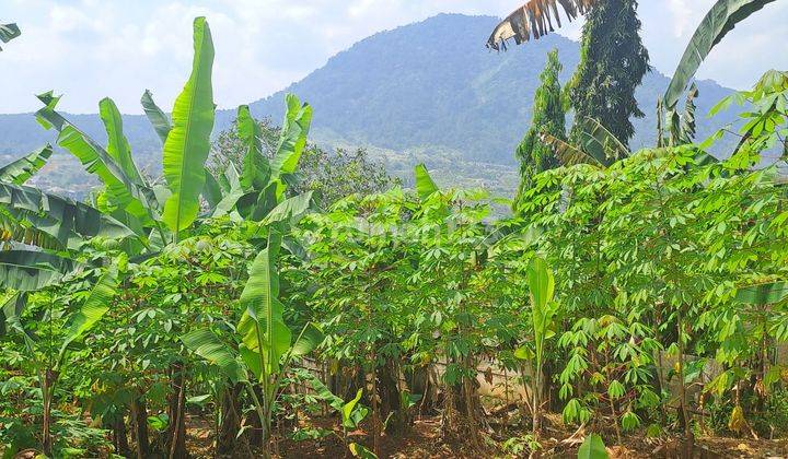 Di jual tanah bojong gaok desa bojongkoneng 2