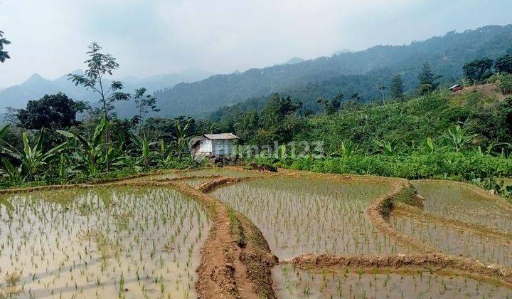 Di jual tanah desa karang tengah curug hejo 1