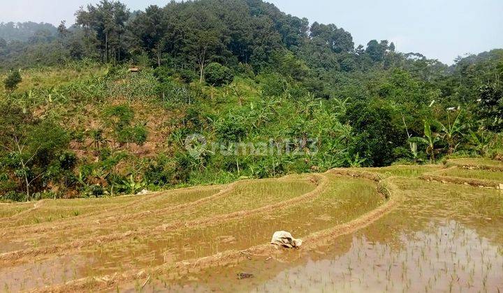 Di jual tanah desa karang tengah curug hejo 2