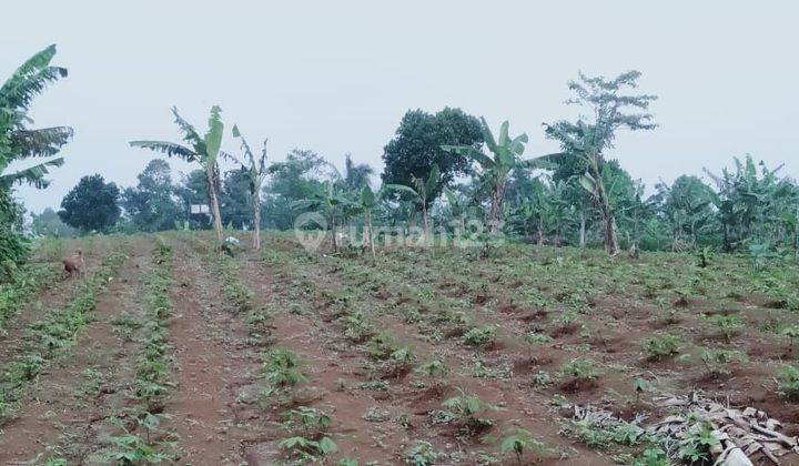 Di jual tanah desa mangunjaya ciambar sukabumi 1