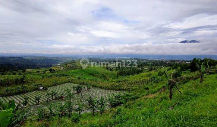 Di jual tanah ci curug sukabumi 1