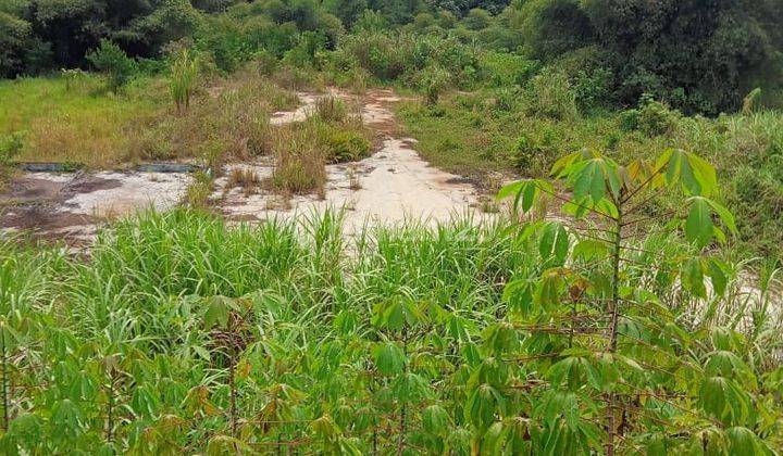 Di jual tanah cibadak sukabumi 2